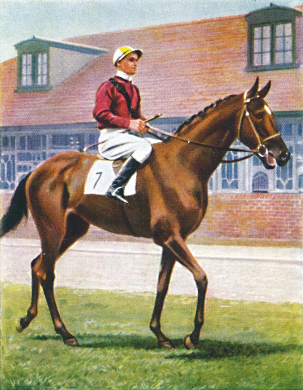 Senor, žokej: J. Crouch, 1939 od Unbekannt