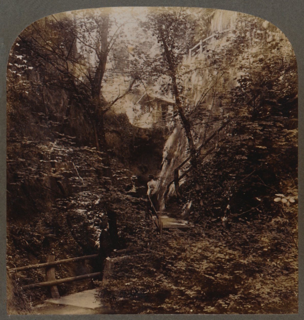 Shanklin Chine světové slávy, Isle of Wight, Anglie, c1910. od Unbekannt