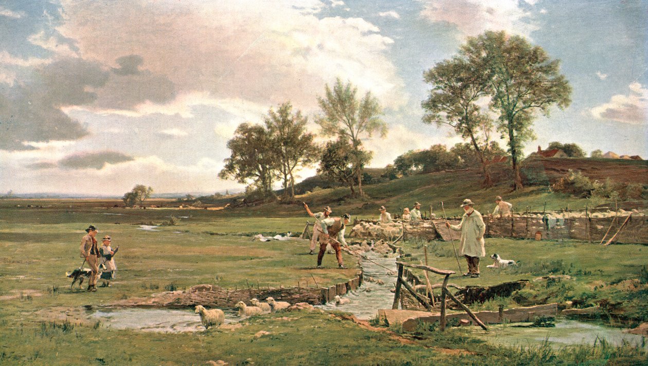 Mytí ovcí v Sussexu, c1889, c1902. od Unbekannt