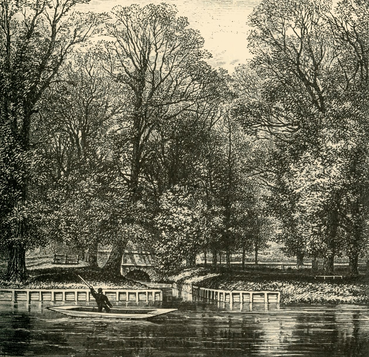 Sheep Bridge a Sixth Form Bench, 1911. od Unbekannt