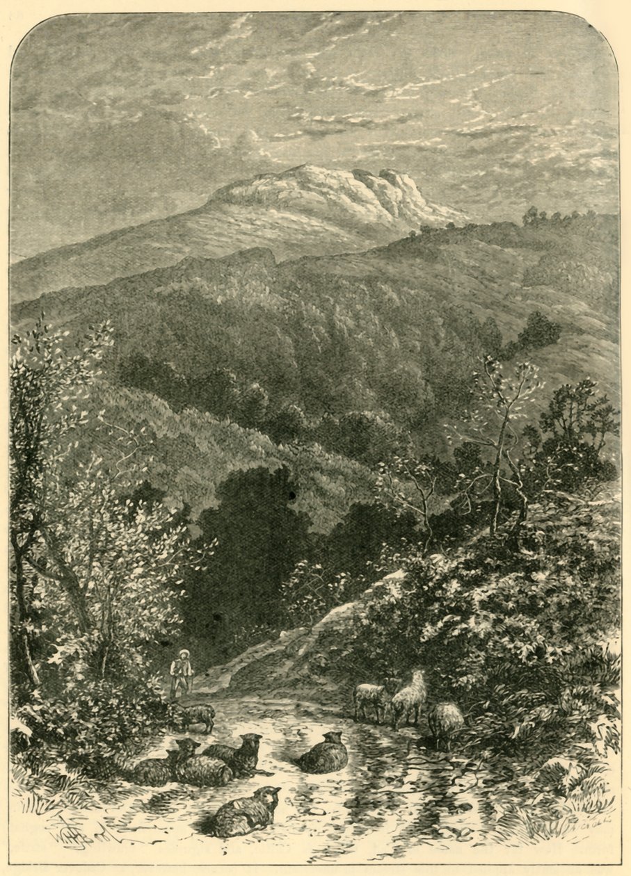 Ovčák, 1898. od Unbekannt
