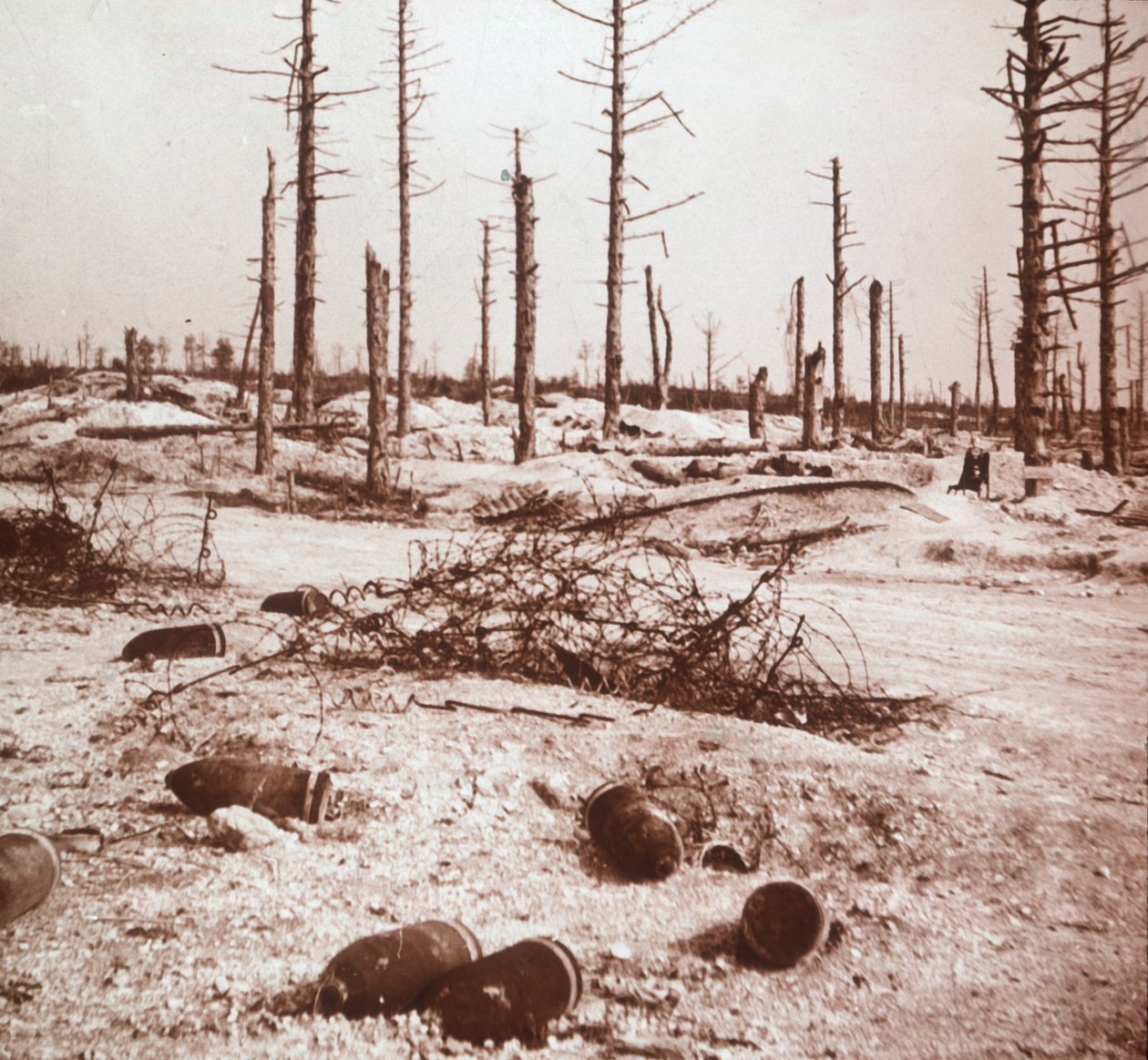 Shells, Verdun, severní Francie, c1914-c1918 od Unbekannt