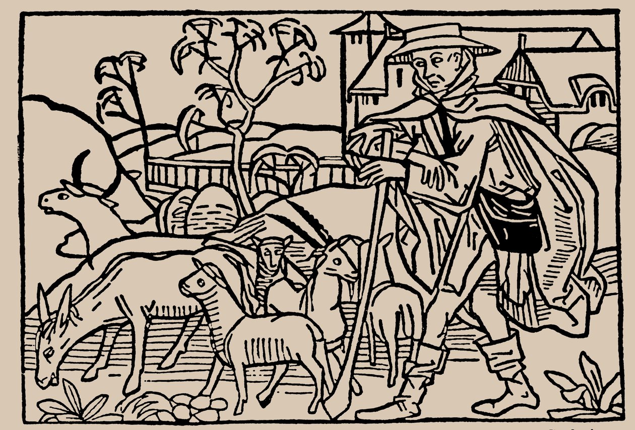 Pastýř. Ze zrcadla lidského života Rodericus Zamorensis, 1479 od Unbekannt
