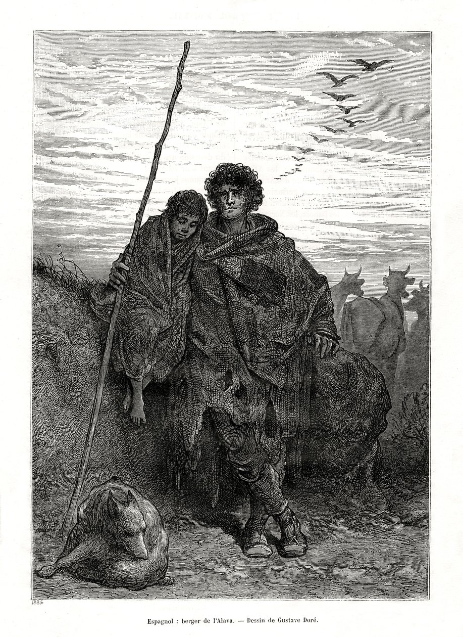 Pastýř z Alava, Španělsko, 1886 od Unbekannt
