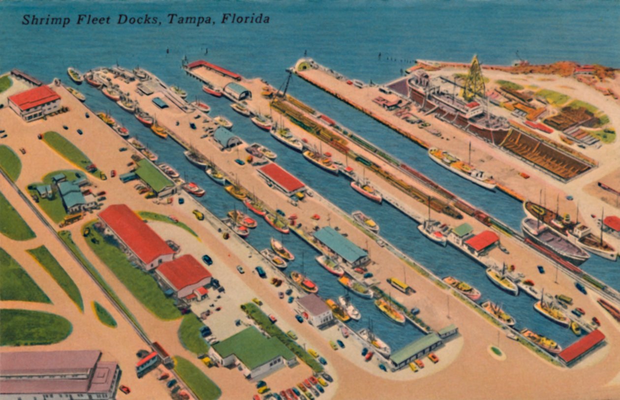 Shrimp Fleet Docks, Tampa, Florida, 40. léta 20. století od Unbekannt