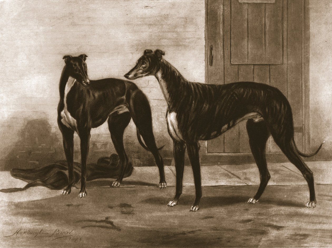 Simonian a Fullerton, c1891, 1911. od Unbekannt