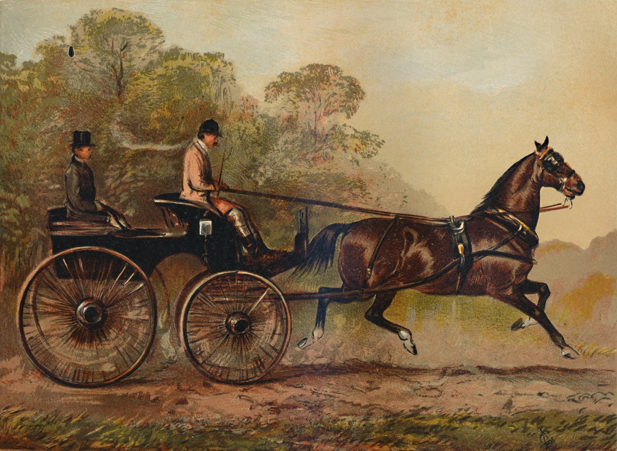Single Harness Phaeton Horse Columbine. Majetek Charles Baynes Esq., 1872, c1879 od Unbekannt