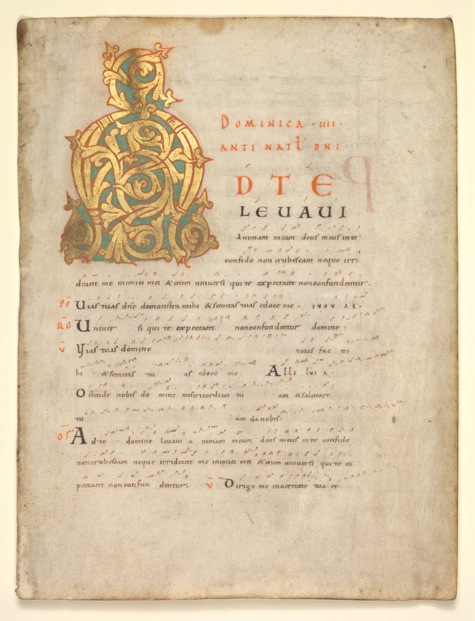 Jeden list vyříznutý z postupného a sakramentárního: Iniciála A[d te lavavi], c. 1000-1010. od Unbekannt