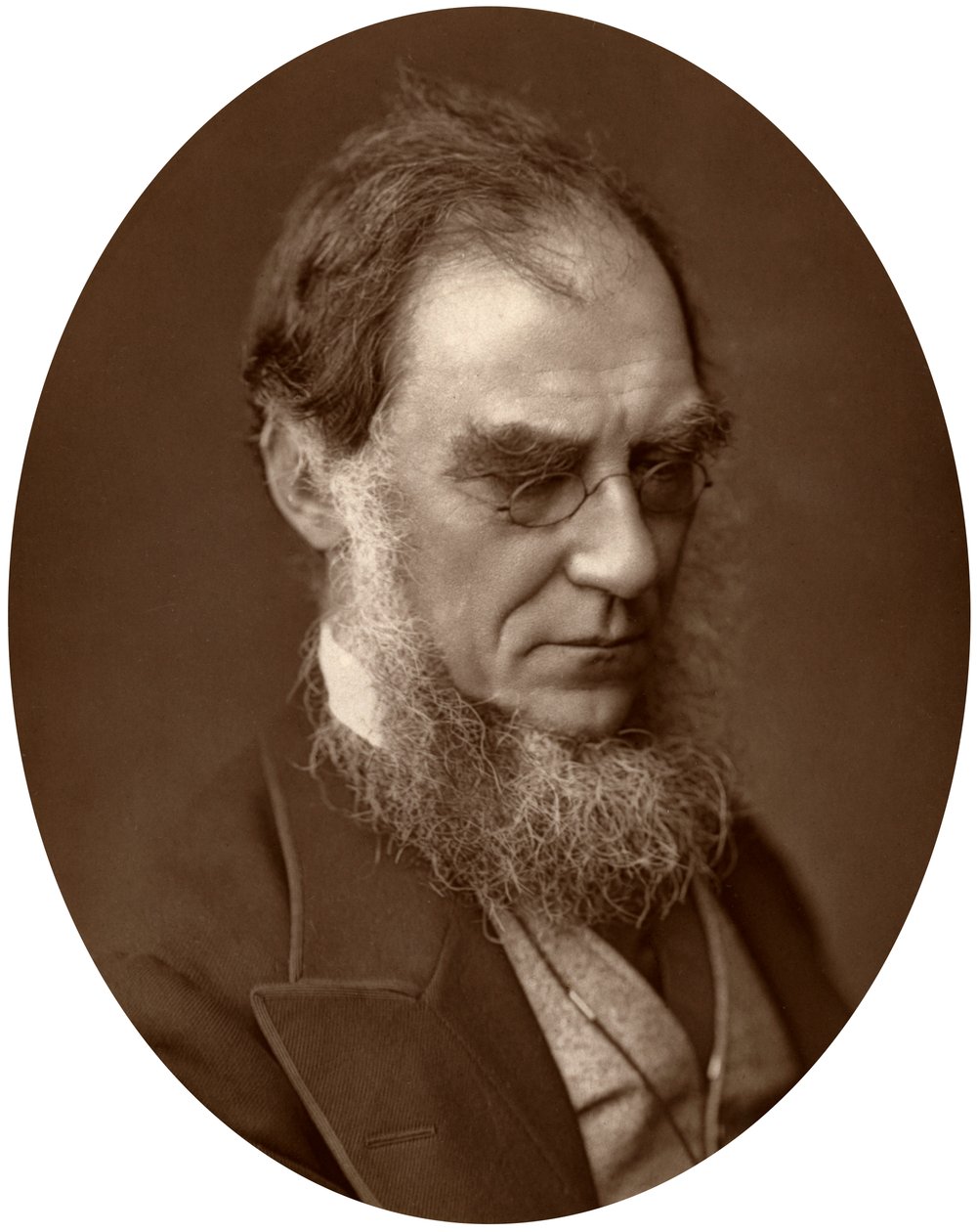 Sir Joseph Dalton Hooker, ředitel Royal Gardens v Kew, 1881 od Unbekannt