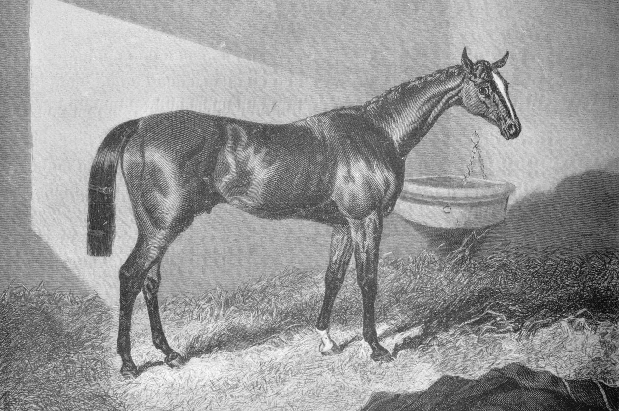 Sir Tatton Sykes, 1842-1860, 1911 od Unbekannt