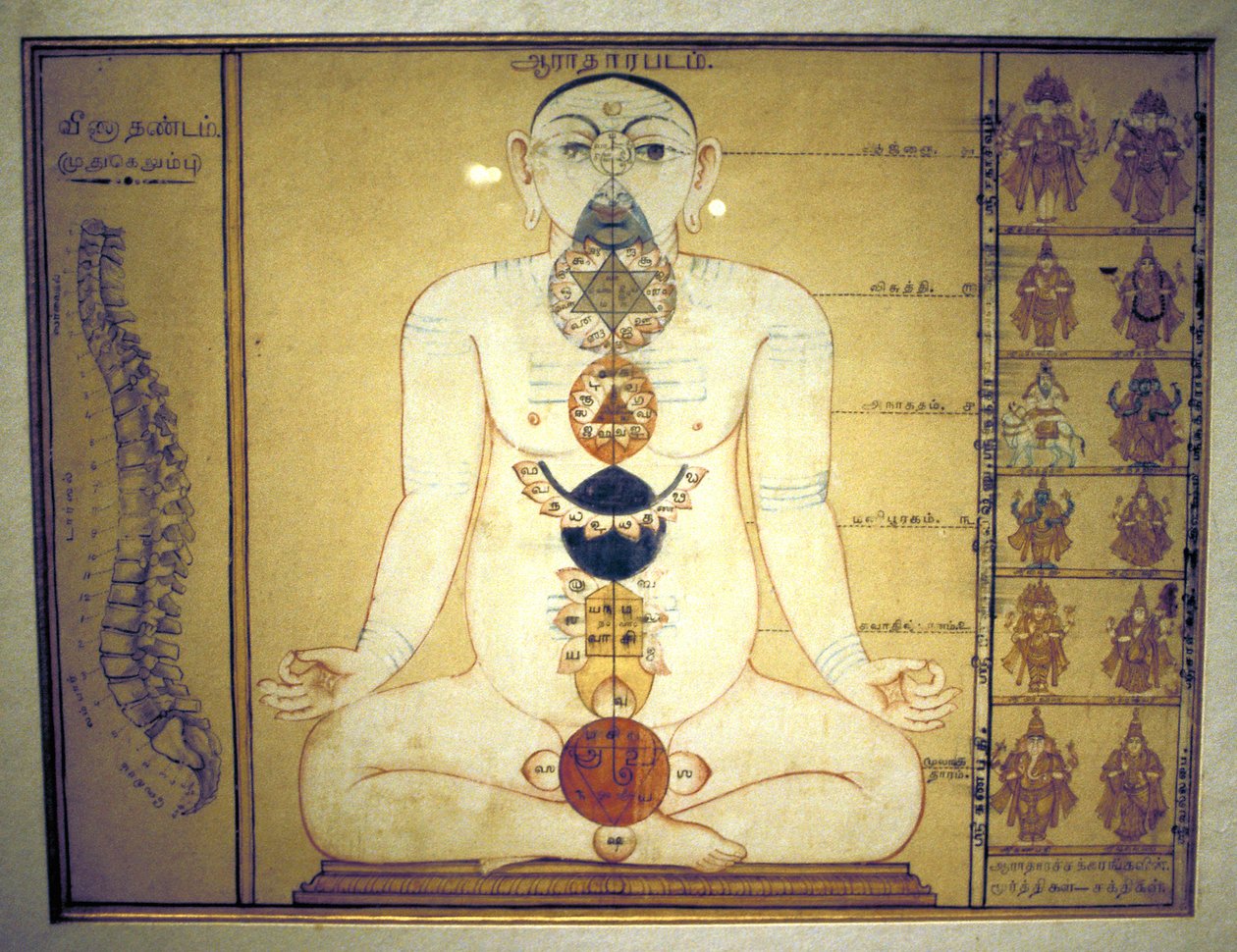 Šest čaker představujících plexusy lidského těla, Tanjore, Tamil Nadu, c1850 od Unbekannt