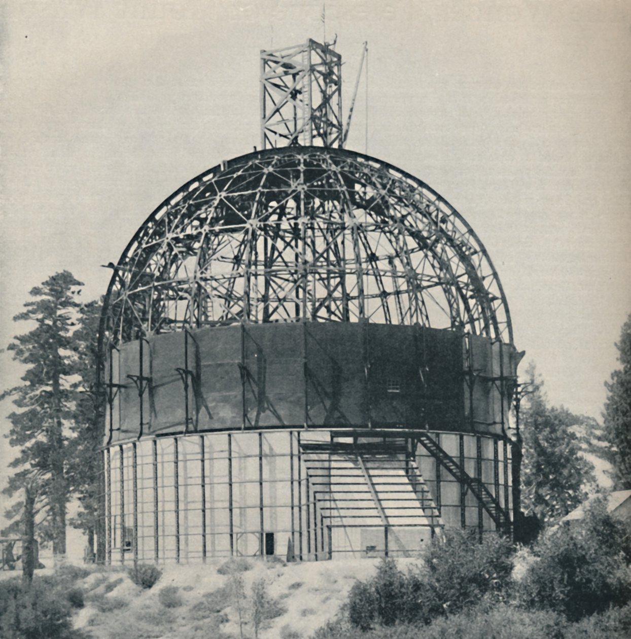Skeleton Dome to House an Astronomical Mamuth, c1935 od Unbekannt