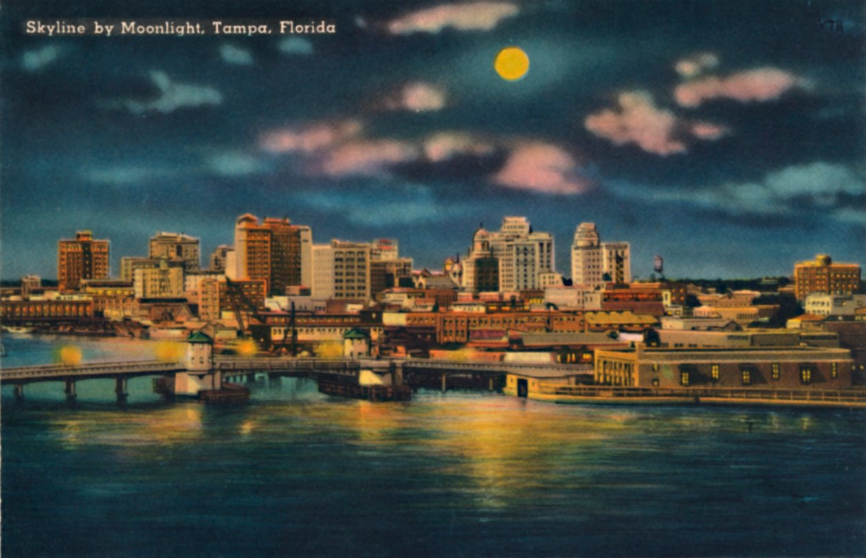 Skyline od Moonlight, Tampa, Florida, c1940 od Unbekannt