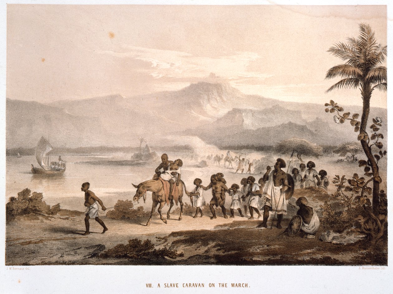 Konvoj otroků v březnu 1852 od Unbekannt