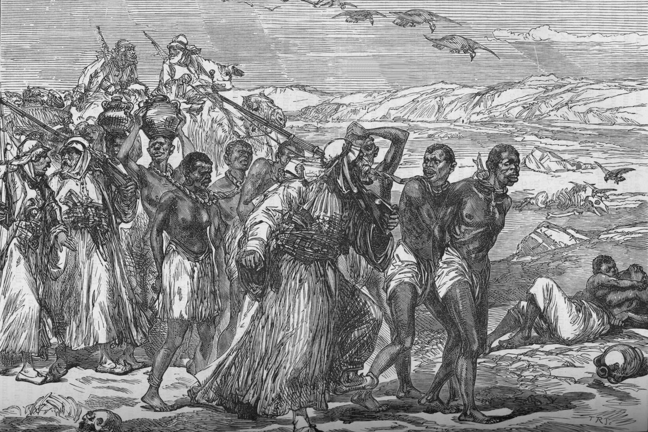 Slave Gang Crossing The African Desert, c1881-85 od Unbekannt