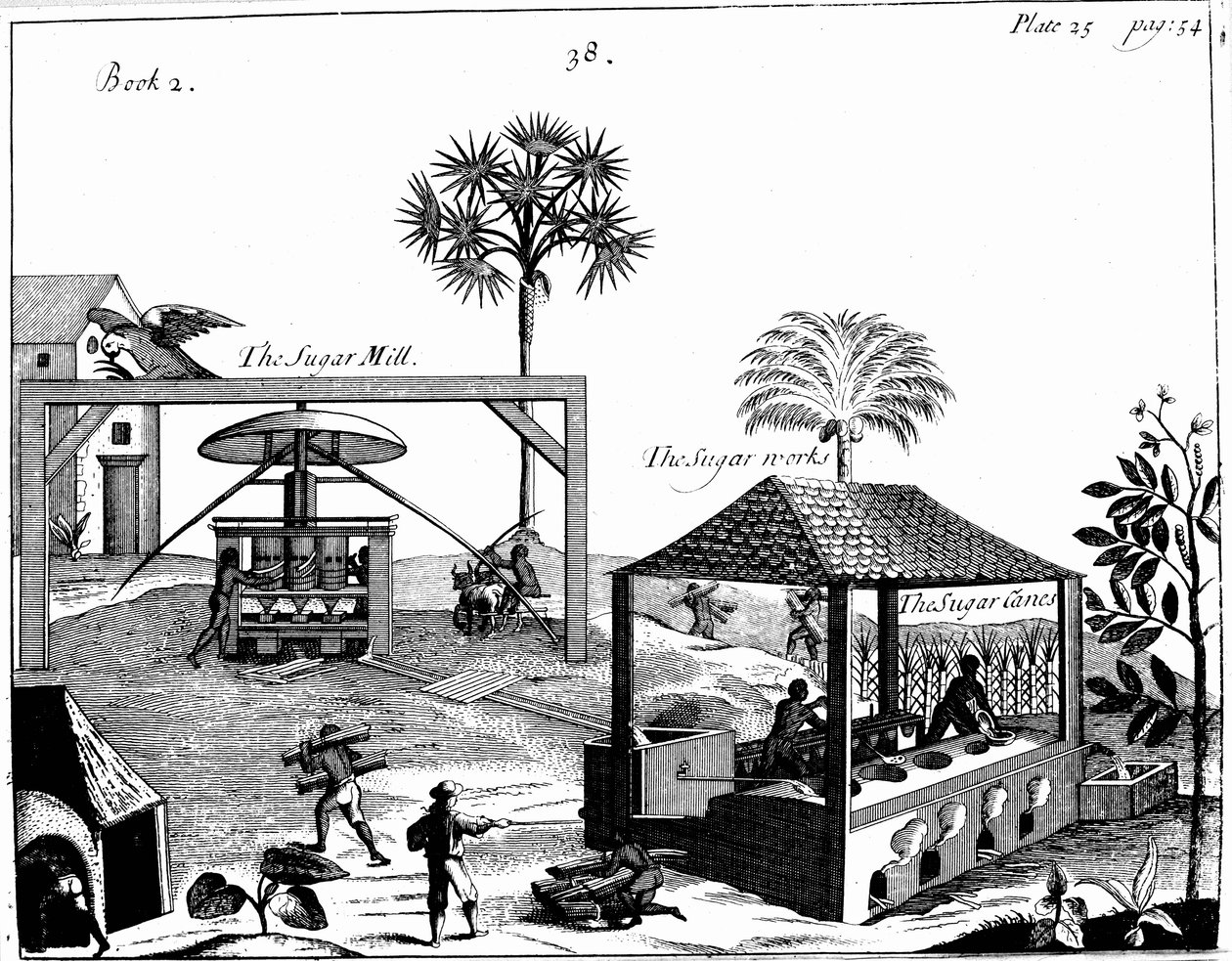 Otrocká práce na cukrové plantáži v Západní Indii, 1725 od Unbekannt