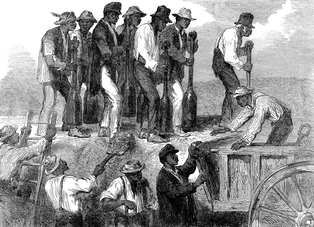 Orjatyövoima vahvistaa Savannahin linnoituksia Georgiassa, Amerikan sisällissota, 1863 od Unbekannt