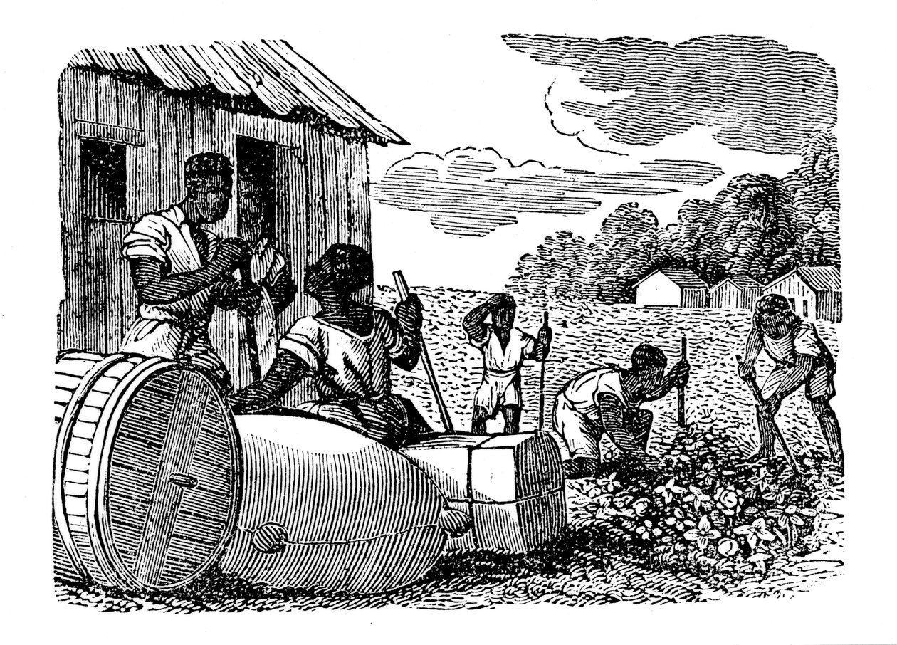 Otroci pracující na tabákové plantáži, 1833 od Unbekannt