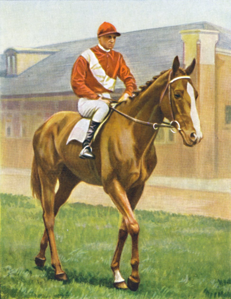 Hadí blesk. Žokej: T. Hawcroft, 1939 od Unbekannt