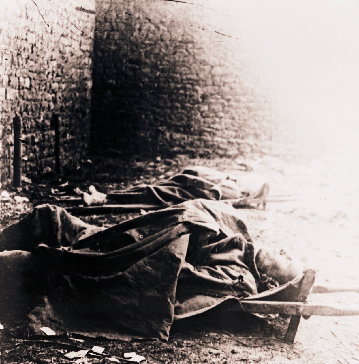 Vojáci na nosítkách, c1914-c1918 od Unbekannt