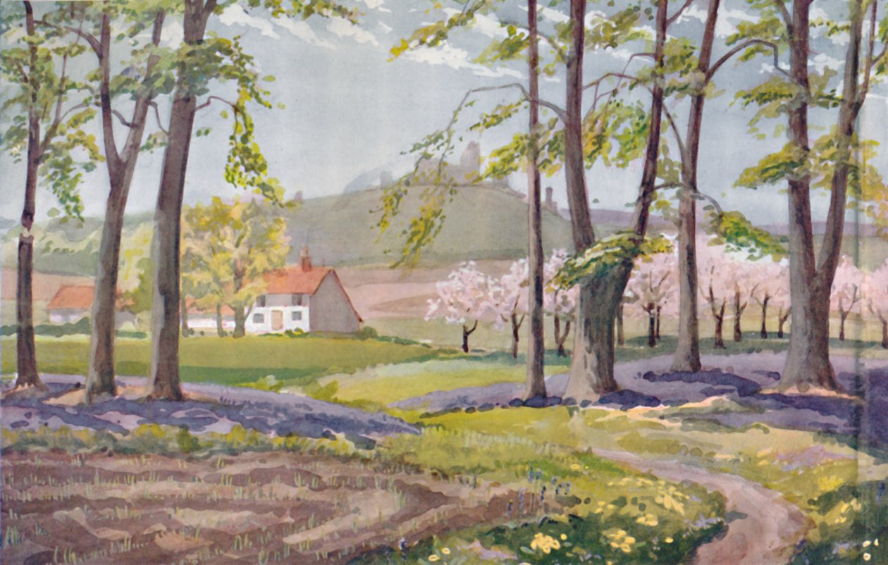 Jaro – Fyzikální, chemické a biologické změny způsobené Sluncem v průběhu roku, 1935. od Unbekannt