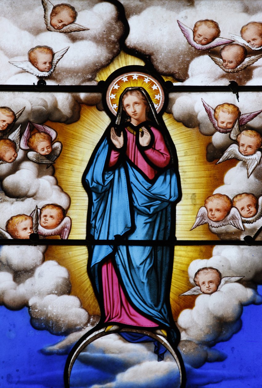 Vitráže v katedrále Saint-Louis: Panna Marie, Blois, Francie od Unbekannt