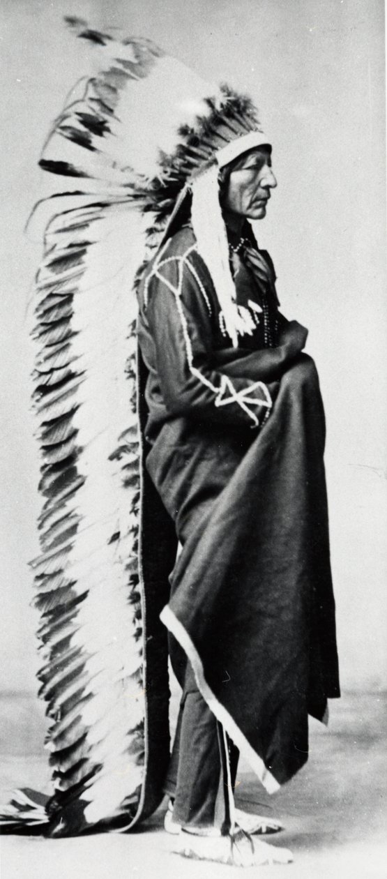 Stojící medvěd, náčelník Dakota Sioux, Indiáni Severní Ameriky, c1885-c1890 od Unbekannt