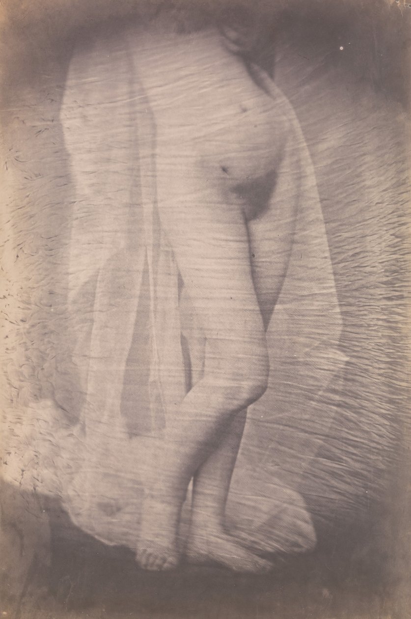 [Stojící ženský akt], ca. 1856. od Unbekannt