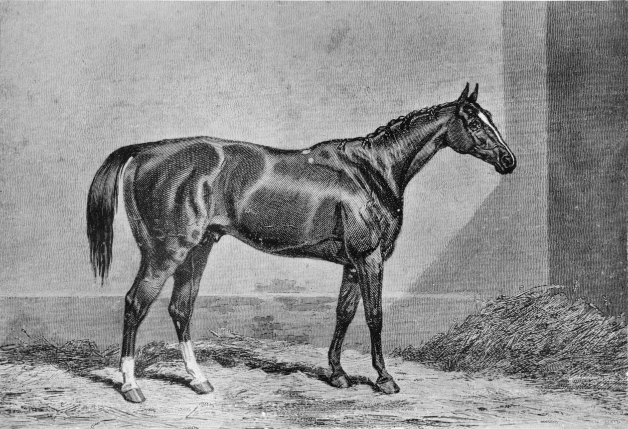 Stockwell, 1849-1871, 1911 od Unbekannt