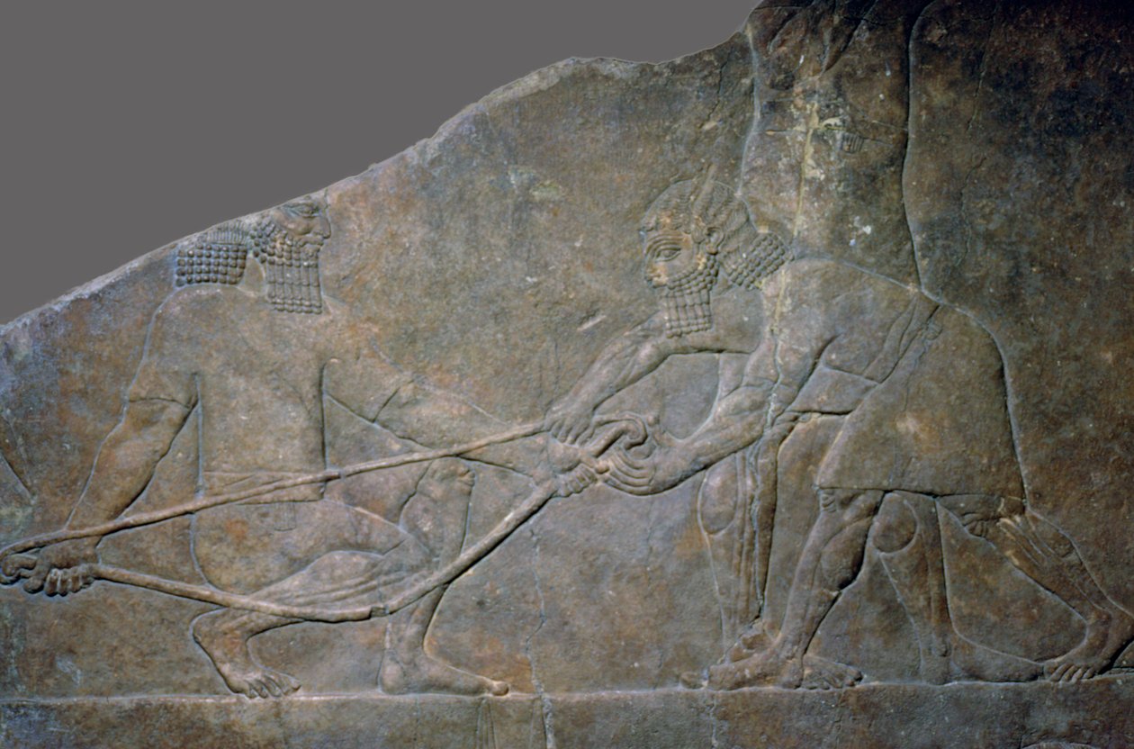 Kamenný panel ze severního paláce Ashurbanipal, Ninive, severní Irák, novoasyrský, c645 př.nl od Unbekannt