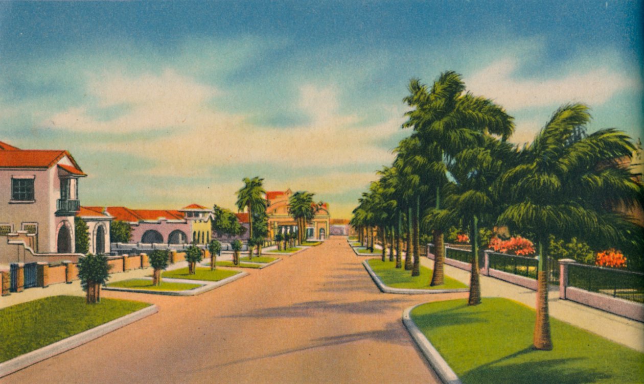 Ulice v rezidenční čtvrti, Barranquilla, c1940 od Unbekannt