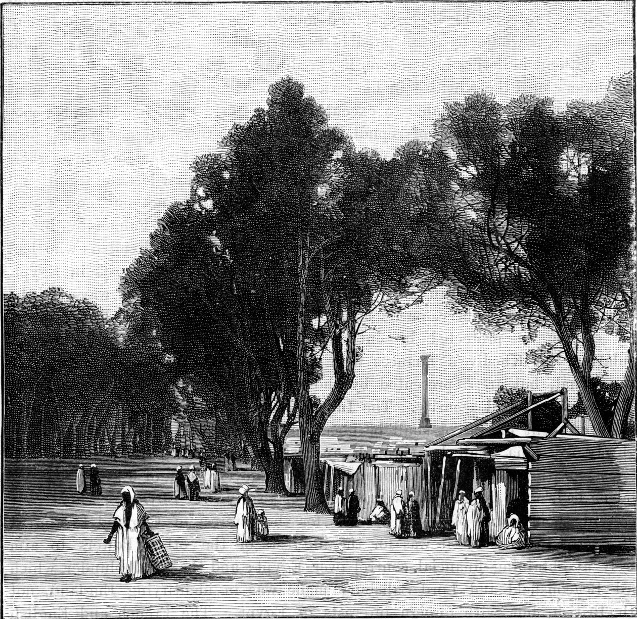 Pouliční scéna s Pompeyovým pilířem v dálce, Alexandrie, Egypt, 1900 od Unbekannt