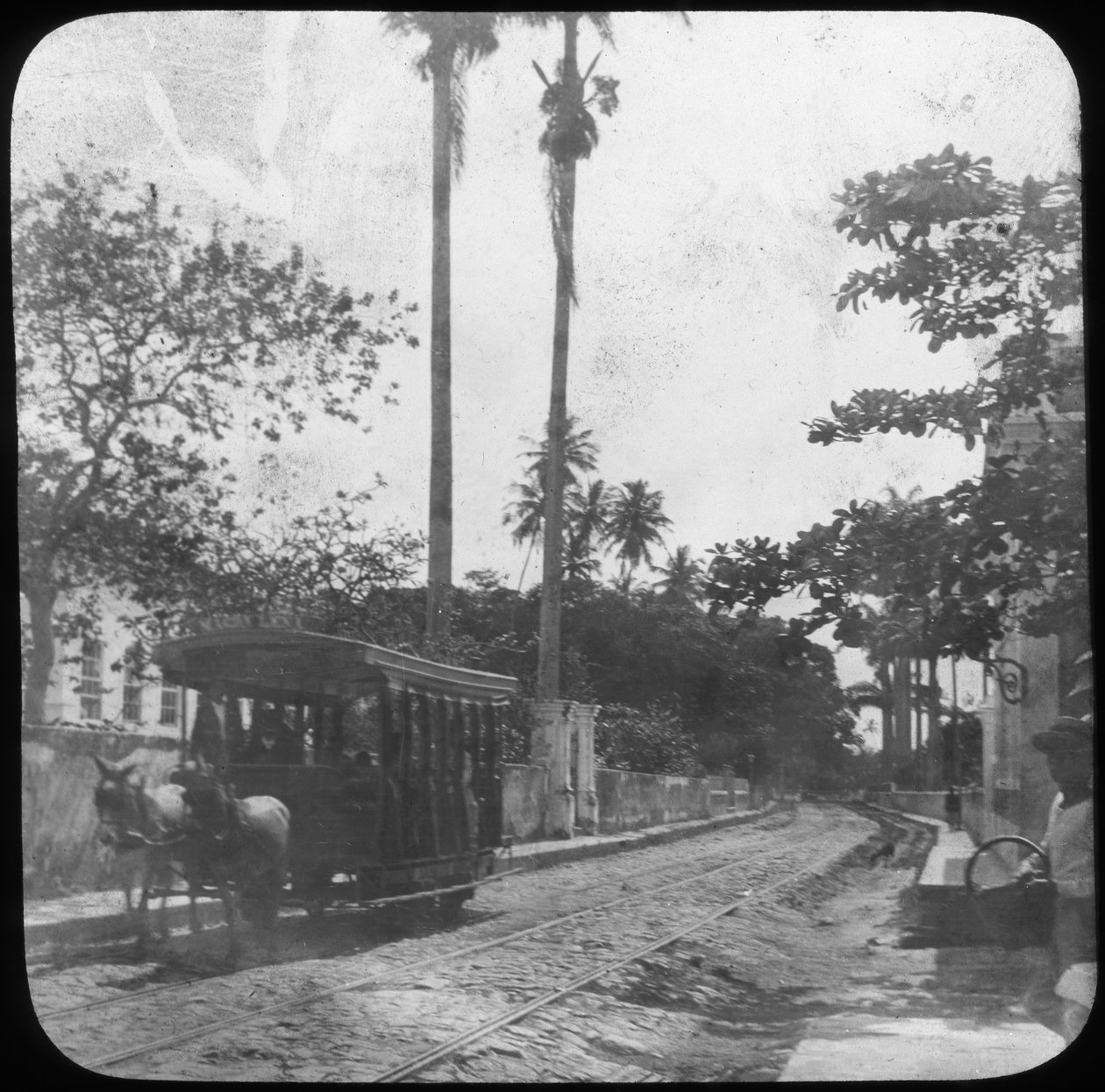 Pouliční scéna s tramvají taženou koňmi, Pernambuco, Brazílie, konec 19. nebo začátek 20. století od Unbekannt