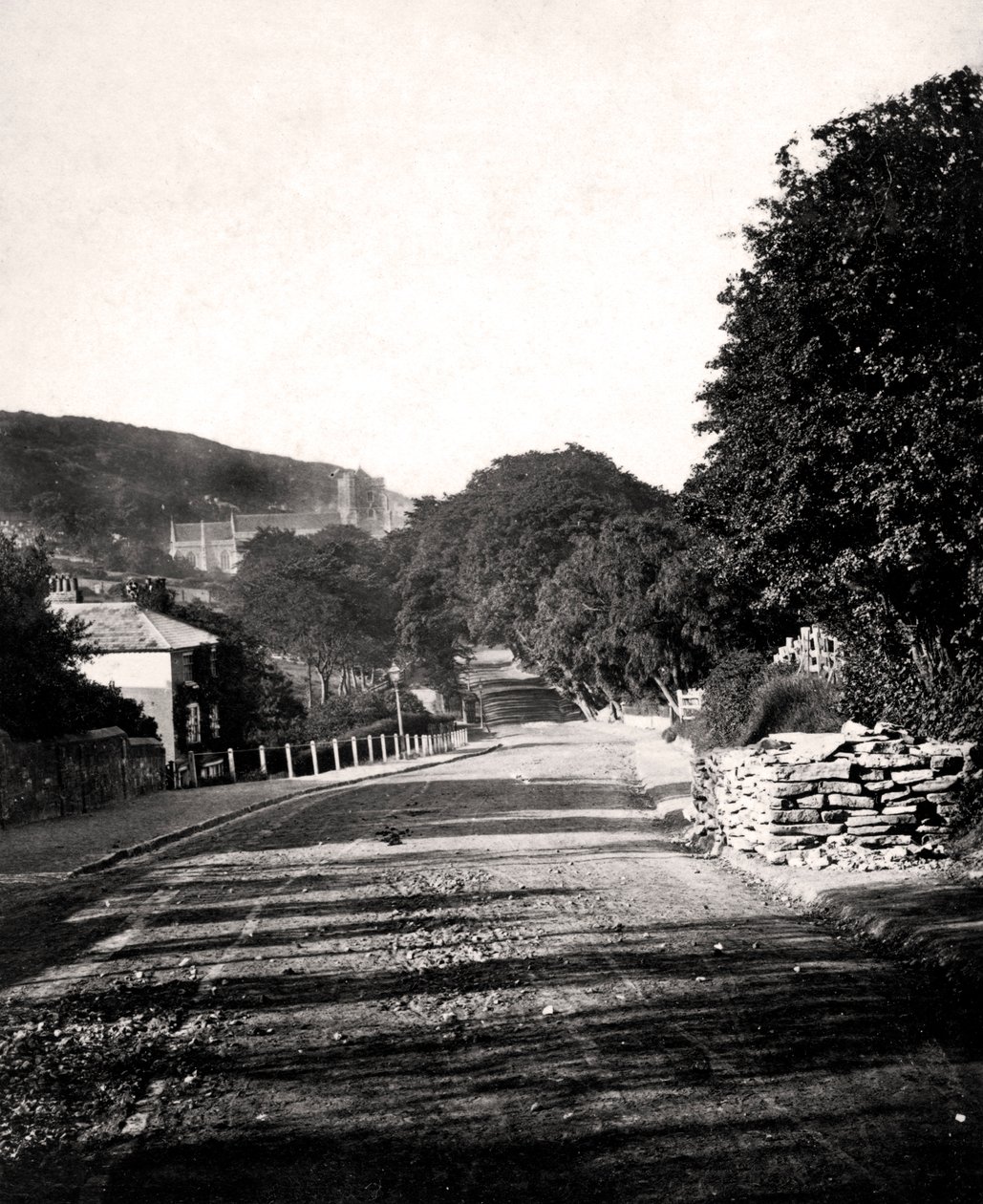 Ulice přes údolí v Hastings, Sussex, počátek 20. století od Unbekannt