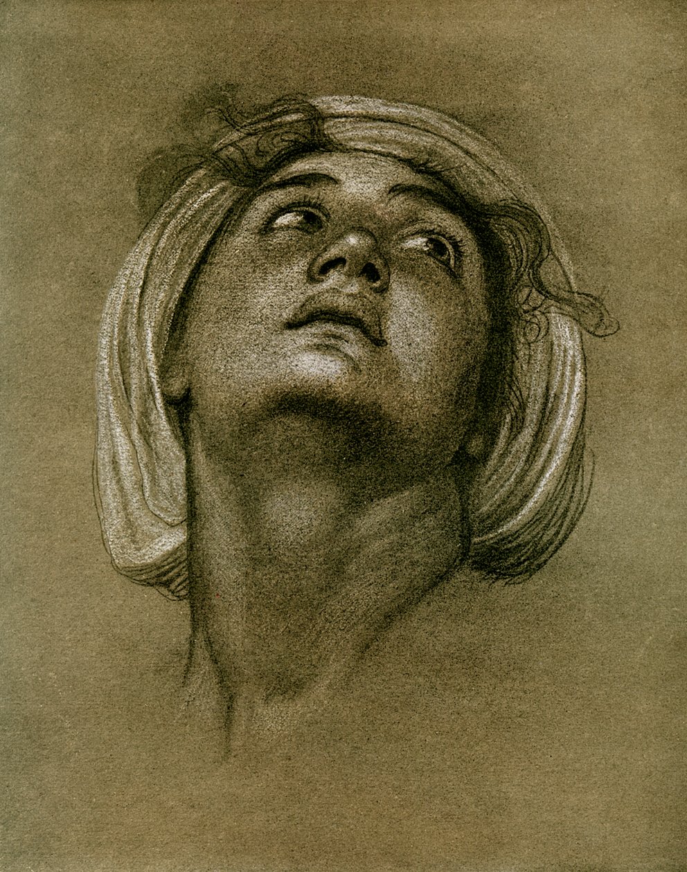 Studie hlavy, 1901 od Unbekannt