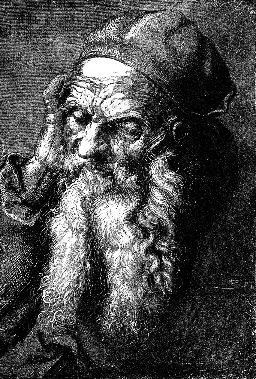Studie starého muže, konec 15. - začátek 16. století 1882 od Unbekannt