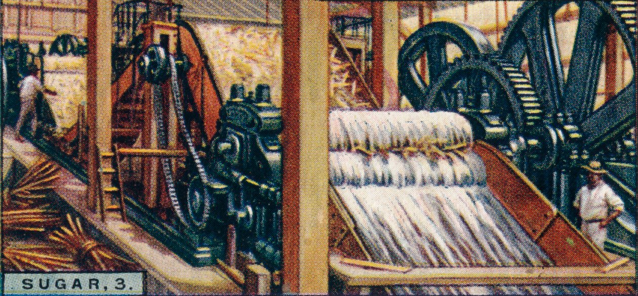 Cukr, 3. Crushing the Canes, Jáva, 1928 od Unbekannt