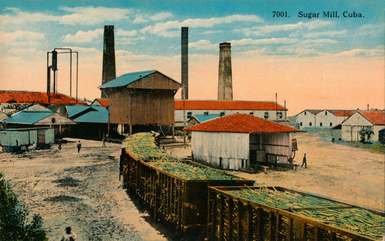 Cukrovar, Kuba, c1910 od Unbekannt