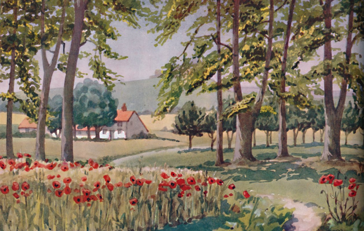 Léto – Fyzikální, chemické a biologické změny způsobené Sluncem v průběhu roku, 1935 od Unbekannt