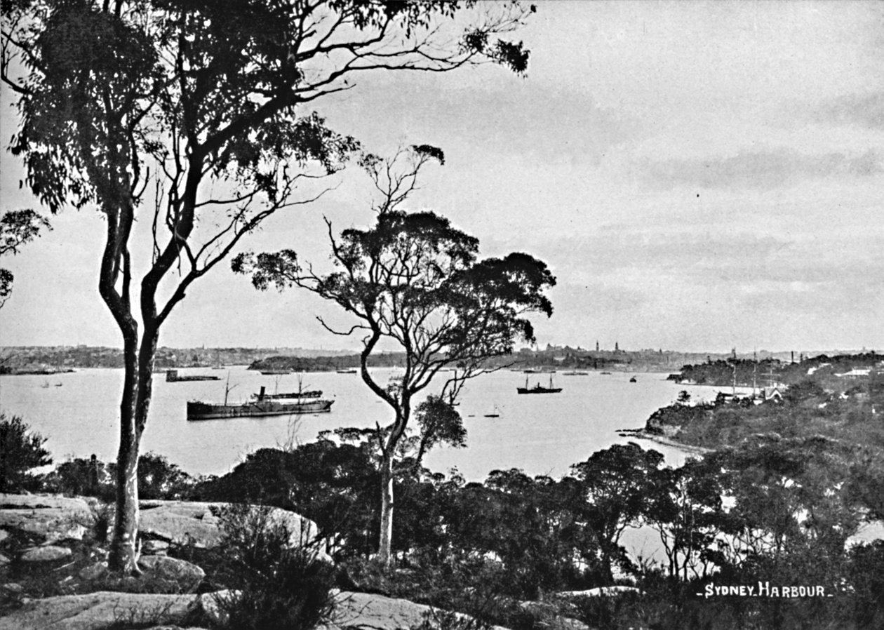 Sydney Harbour, z Cremorne Point, c1900. od Unbekannt