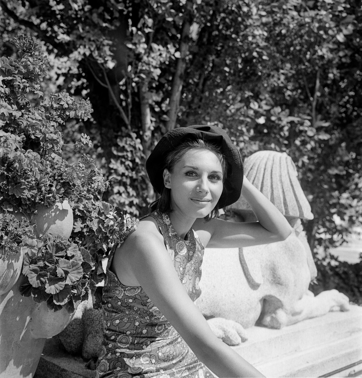 Herečka PAOLA PITAGORA NA XXV. MEZINÁRODNÍM FILMOVÉM FESTIVALU V BENÁTKÁCH LIDO - 1964 od Unbekannt