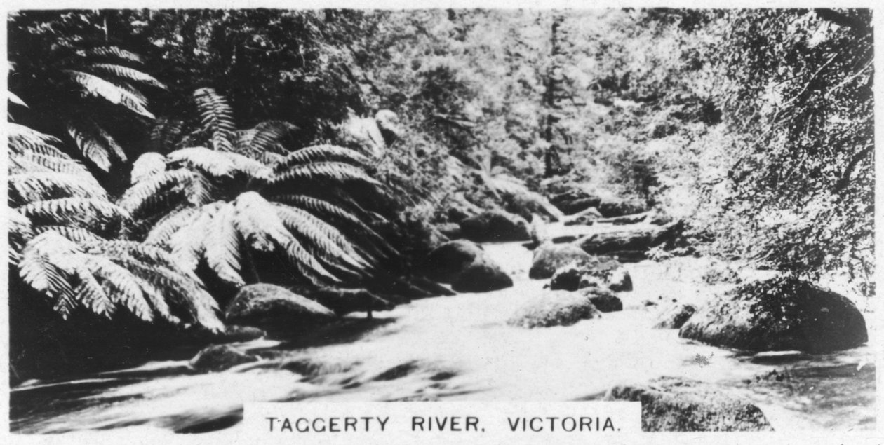 Taggerty River, Victoria, Austrálie, 1928 od Unbekannt