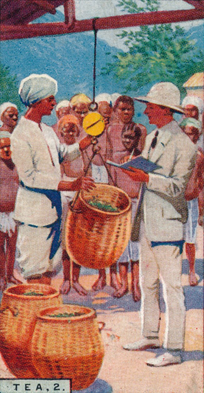 Čaj, 2. - Weighing the Pickings, Cejlon, 1928 od Unbekannt