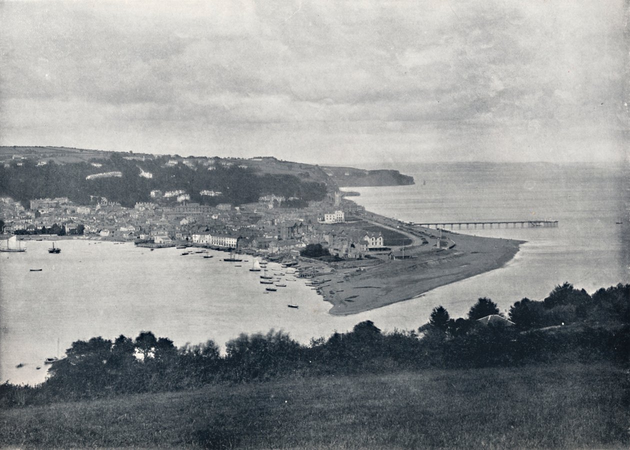 Teignmouth - Celkový pohled na Dene, 1895 od Unbekannt