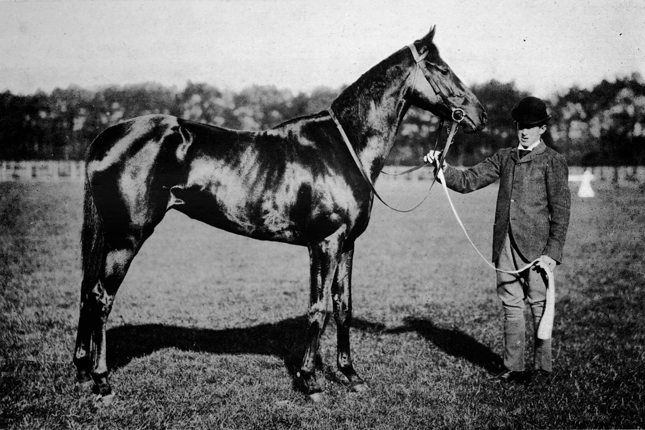 Thajština, 1911 od Unbekannt