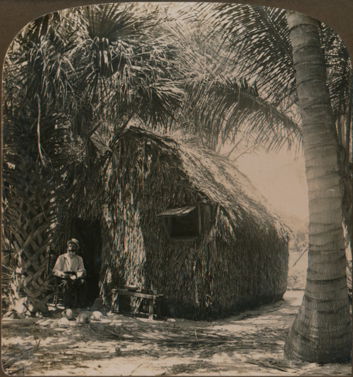 Došková chata v Cocoanut Grove, Florida, USA, c1900 od Unbekannt