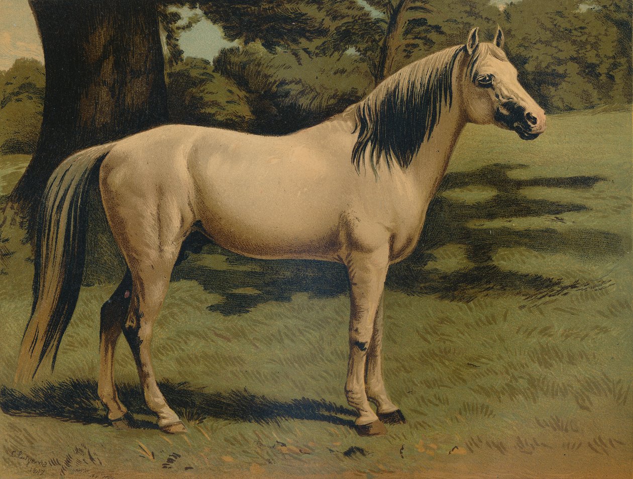 Arabský pony Charger generála Sira Hope Granta, c1879. od Unbekannt