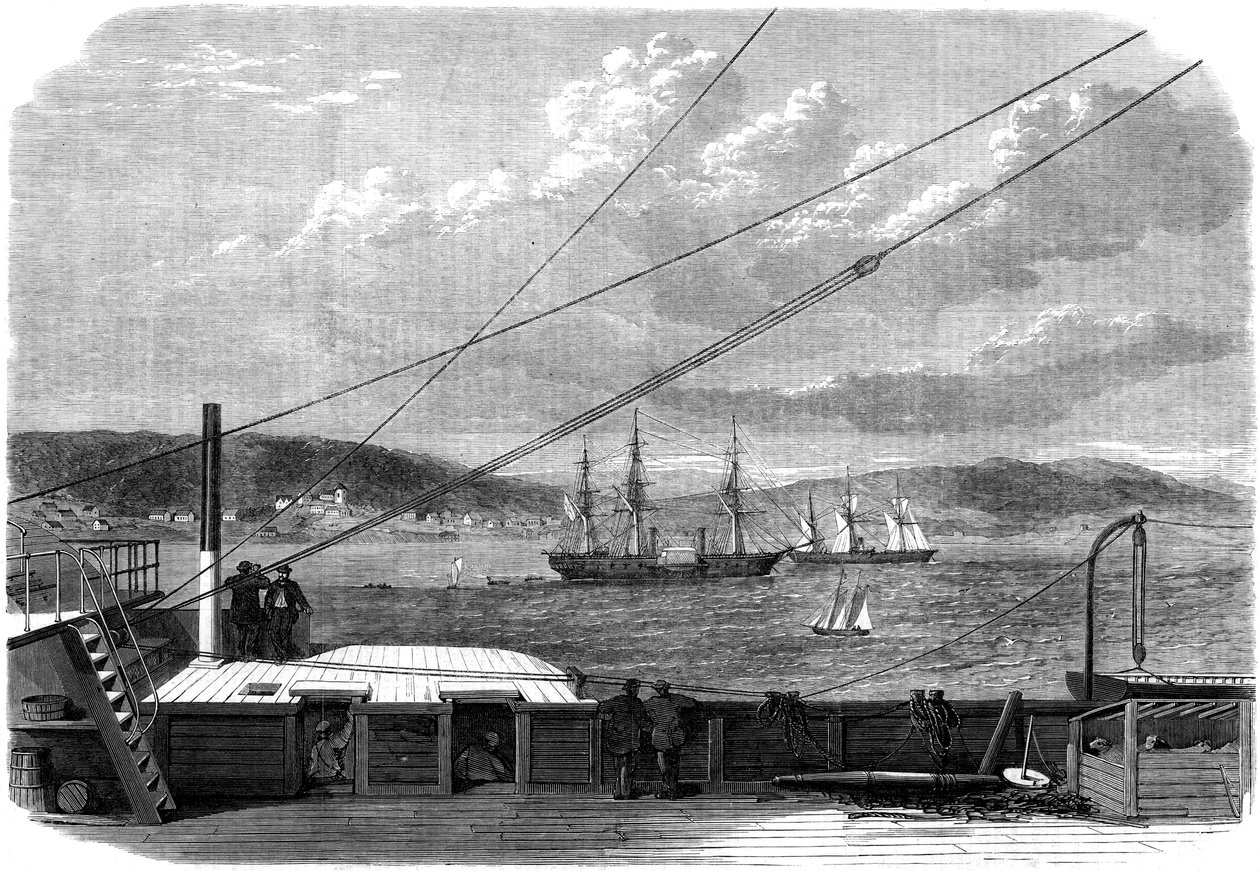 Atlantská telegrafní expedice, Content Bay, Newfoundland, 1866 od Unbekannt