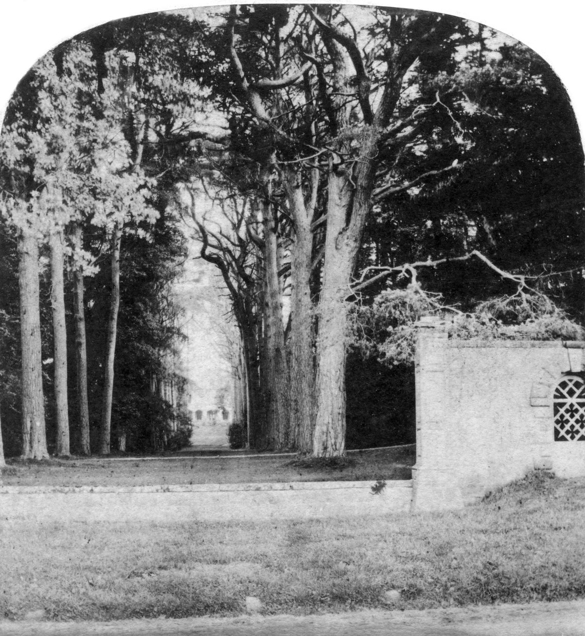 Avenue, Guys Cliff, Warwick, počátek 20. století od Unbekannt