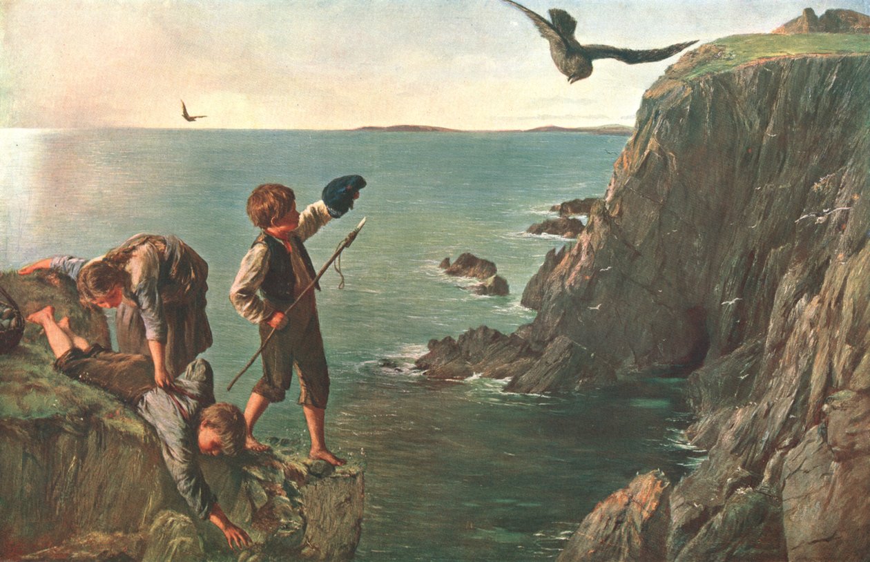 The Bonxie, Shetlandy, 1873, c1902. od Unbekannt
